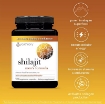 youtheory-mens-shilajit-500mg-120-capsules