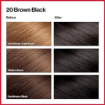 Revlon Colorsilk Beautiful Hair Color - 20 Brown Black