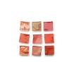 Nicka K NINE COLOR PALETTE (WATERMELON SPLASH)
