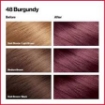 Revlon ColorSilk Beautiful Color, 48 Burgundy