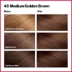 Revlon Colorsilk Beautiful Hair Color  43 Medium Golden Brown