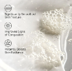The Ordinary Glycolic Acid 7% Toning Solution 240ml