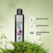 RiBANA Onion Seed Oil 100ml