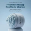ARENCIA Fresh Blue Hyssop Rice Mochi Cleanser - 120g